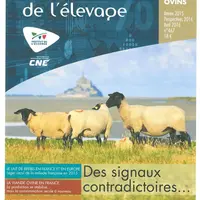 © GEB-Idele