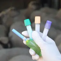Les profils métaboliques sur les vitamines sont coûteux et présentent peu d’intérêt. © Ciirpo
