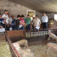 Les présidents et directeurs des coopératives ovines ont pu échanger sur l’actualité de la filière tout en visitant deux élevages aveyronnais.   © D.