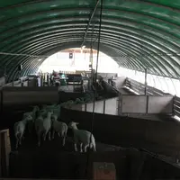 Un parc bien conçu permet généralement une circulation fluide des animaux.  © M.-A. Batut
