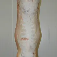 Cette carcasse ne présente pas de défaut de coloration du gras. © Ciirpo