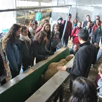 La contention des moutons, à la main ou avec des équipements, a été montré aux élèves attentifs.  © S. Béhéty