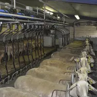 Les producteurs sont désormais soumis à des règles propres à chaque entreprise, notamment sur la qualité du lait. Le besoin de reconstruire des choses