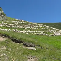 Les zones de montagnes sont généralement considérées comme des zones à handicaps naturels.  © L. Geffroy