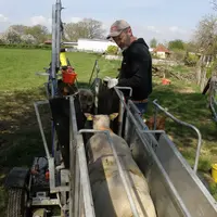 Après l’une de ses congénères, une brebis emprunte la rampe d’accès du Combi Clamp dans lequel elle va être rapidement observée et pesée par l’éleveur