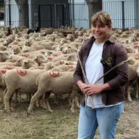 Émilie Proust emmène ses 600 brebis Mérinos d'Arles en transhumance.  © K. Brillier Laverdure