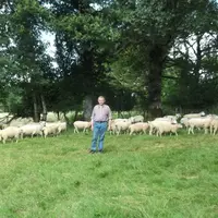 Jean-Marie Renard déplace les animaux tous les jours afin de stimuler leur appétit. © N. Augas