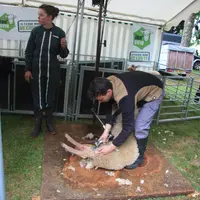 Les élèves du CS ovin du CFPA de Limoges se sont affrontés lors d'un challenge ovin.  © M.-A. Batut