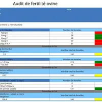 Les animaux en échec de reproduction sont identifiés en fonction de leurs caractéristiques ; ici, en fonction du rang de mise bas et du niveau de prod