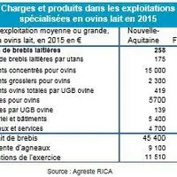 [tableau à refaire] © Agreste RICA