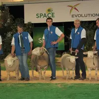 Les lauréats du concours Île-de-France ont été récompensés le vendredi 15 septembre. © B. Morel