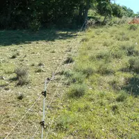 A gauche, un parcours valorisé dans le programme Mil'ouv, à droite un milieu en friche. © Idele