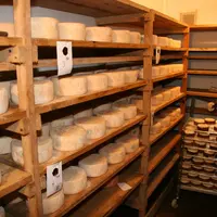 Le guide de bonnes pratiques d'hygiène joue le rôle de démarche HACCP pour les petites fromageries. © D. Hardy