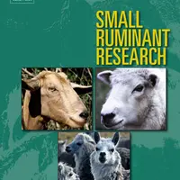 SMALL RUMINANT RESEARCH publie, en anglais, les résultats de  recherche des scientifiques du monde entier. © Elsevier