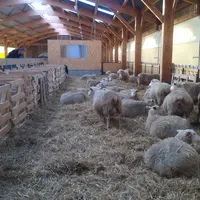 Le puits de lumière au faîtage, large de 1,6 mètre, complète l’éclairage naturel tandis qu’une quinzaine de néons peuvent assurer l’éclairage nocturne
