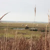 Un cadre idyllique mais une réglementation contraignante. Stéphanie espère pouvoir augmenter son troupeau et construire une vraie bergerie en 2018. ©