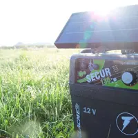 En combinant poste mobile sur batterie et panneau solaire, l'éleveur allège son temps de travail en espaçant les rechargements. © Lacmé