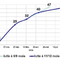 Itinéraires d’une agnelle née en fin d’été ou en automne avec des luttes de 8 à 12 mois.Les agnelles doivent peser les deux tiers du poids adulte au m