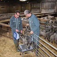 Le contrôle de performance permet de connaître, analyser et comparer les données de sa troupe. © D. Hardy