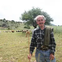 L’impact des bergers étrangers est plutôt positif car les troupeaux gardés valorisent des terres qui seraient autrement abandonnées. © D. Hardy