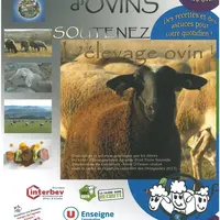 Chaque mois, un aspect de l’élevage ovin est présenté  : bâtiment, transhumance, interview d'éleveur, d'abatteur ou de cuisinier... © Leap Terre Nouve