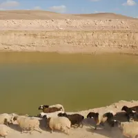 La gestion des ressources hydriques, rares dans cette zone désertique, fait partie du projet d'appui à l'élevage de petits ruminants. © Fida