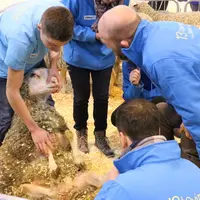 Les examinateurs ont dû être particulièrement pointilleux pour pouvoir départager les candidats sur les huit épreuves. © B. Morel