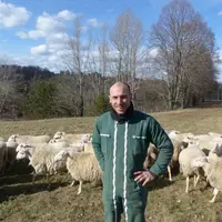 Yoan Thomas élève ses 470 brebis bio en privilégiant l'herbe.  © M. Cholton