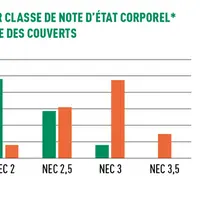 Les brebis ont repris de l’état à MontargisRépartition des brebis par classe de note d'état corporel en début et fin de pâturage des couverts © Source