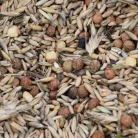 Avec 59 % de seigle, 25 % de triticale et 16 % de pois, ce méteil a un UFL et UFV de 1,02, 11 % de MAT, 71 de PDIN et 84 de PDIE. © D. Hardy