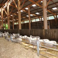Lumineuse, fonctionnelle, aérée, pratique, spacieuse, la bergerie se doit aussi d’être évolutive. © L. Geffroy