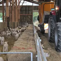 Investir dans une mélangeuse ne se justifie qu’avec une ration humide. © EPLEFPA de Troyes