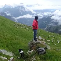 Nicolas Peccoz est éleveur dans les contreforts sud du Vercors et il mene son troupeau en alpage de mai à octobre. © N. Peccoz