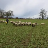 Les éleveurs d'aujourd'hui veulent gagner leur vie, gagner du temps mais aussi se dégager du temps libre, à consacrer à sa vie de famille, à ses hobbi