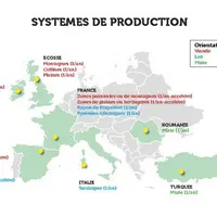 Les élevages étudiés se situent dans les six pays européens gros producteurs d'ovins et en Turquie. © Sheepnet