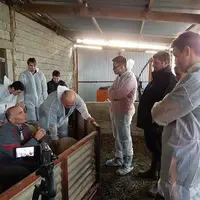 [ Deux photos, une même légende ] Pendant deux jours, les élèves éleveurs se sont initiés à la boucherie et les élèves bouchers à l’élevage ovin. © F.