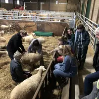 Les éléves ont découvert d'autres façons de soigner les animaux.  © La Roque