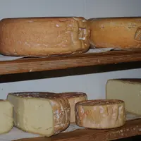 Les formations au nouveau guide des bonnes pratiques d’hygiène permettent d’adapter le plan de maîtrise sanitaire à sa fromagerie fermière. © L. Geffr