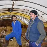 À la demande d’Adrià Gomez (24 ans), Bernard Delabre (64 ans) vient parfois donner un coup de main ou conseiller le jeune éleveur. © D. Hardy