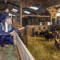 En visite sur l'élevage de la présidente de la FNO, le président de la région Aura a confirmé les aides à la filière ovine et le soutien au pastoralis