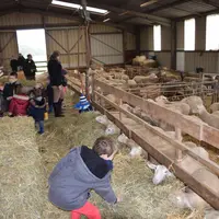 A travers les visites de la ferme et les séjours au gîte, Isabelle montre le quotidien des éleveurs et le travail qui est fait. © D. Hardy