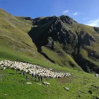 Le projet Interreg Poctefa Pyrpastum veut renforcer les échanges dans la formation des bergers des deux côtés des Pyrénées. © V. Freixa