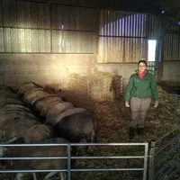 La méthode de fonctionnement de l’atelier porc apportera de la rigueur à la conduite des ovins. © F. Dudognon