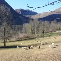 Les chercheurs ont dû prendre en compte les spécificités des territoires des Pyrénées dans la définition des "cas-types".  © L. Geoffroy