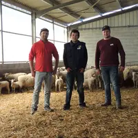 Laurent Chateigner, Florian Chateigner et Florian Bazin sont associés à trois en Gaec. © I. Heeren