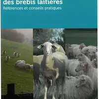 L’alimentation des brebis laitières  © Idele