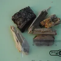 Des plaquettes déchiquetées à trois-quatre centimètres conviennent parfaitement.  © Ciirpo