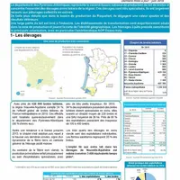Les deux documents sont téléchargeables sur draaf.nouvelle-aquitaine.agriculture.gouv.fr. © Draaf NA