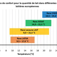 Zones de confort pour la quantité de lait dans différentes races ovines laitières © iSAGE