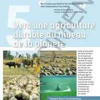 De nombreux manuels illustrent la notion d’agriculture intensive avec des photos de traitements de culture impressionnantes sans préciser le pays ou l
